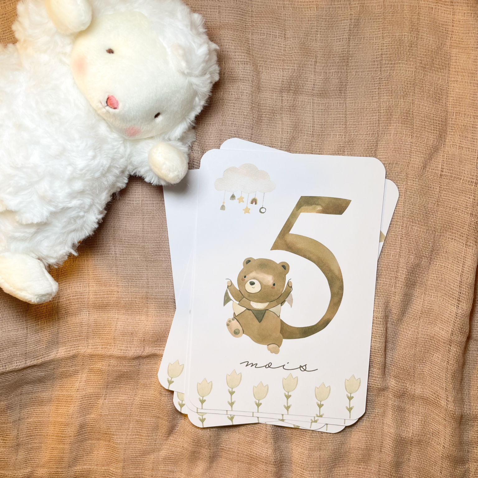 Baby milestone cards - First year - Teddy bears