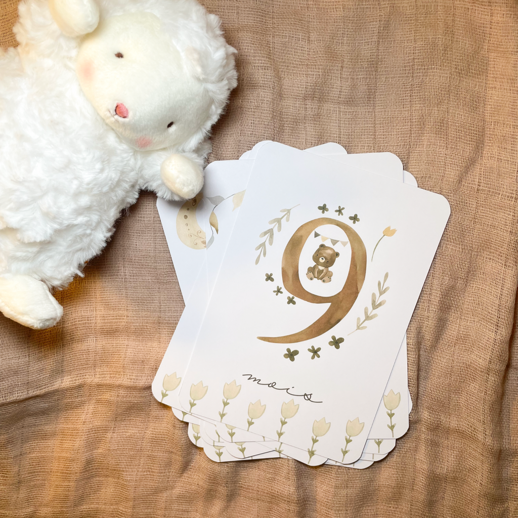 Baby milestone cards - First year - Teddy bears
