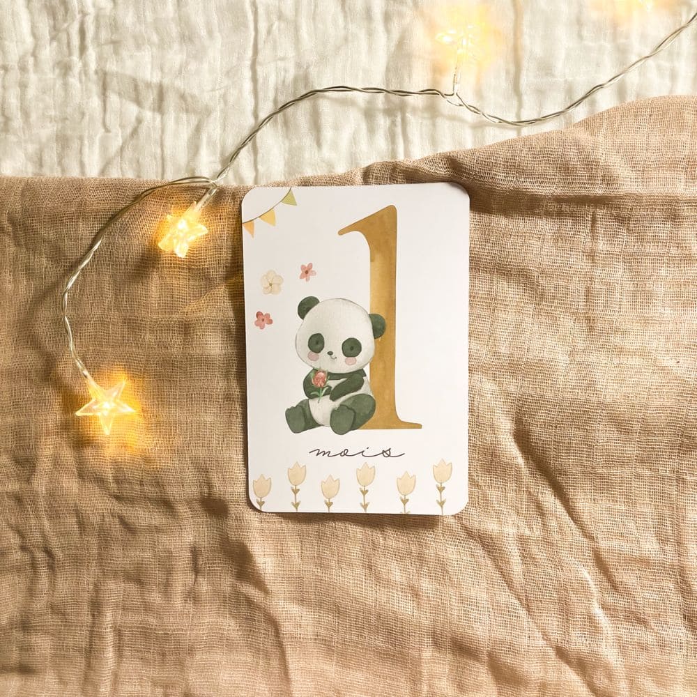Baby milestone cards - First year - Panda and Koala