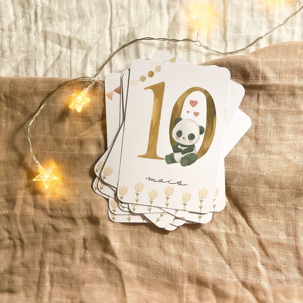 Baby milestone cards - First year - Panda and Koala