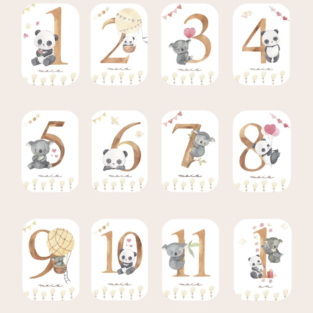 Baby milestone cards - First year - Panda and Koala