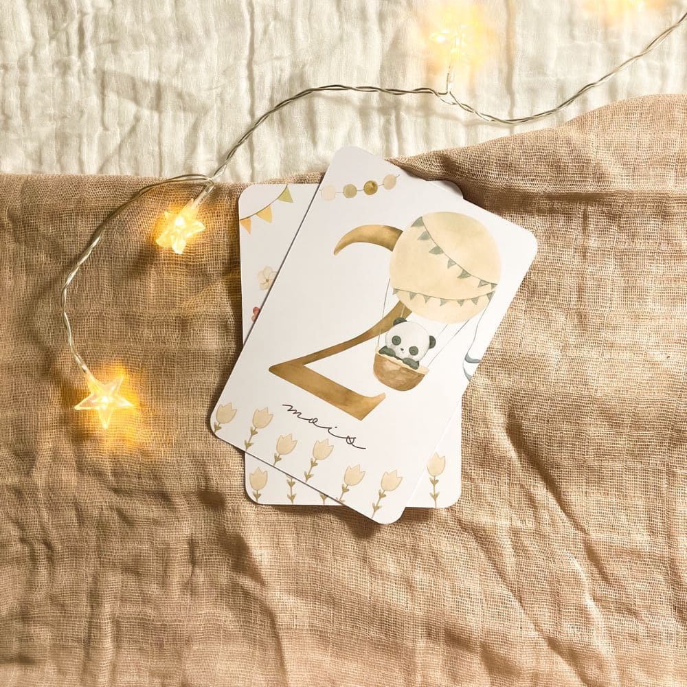Baby milestone cards - First year - Panda and Koala