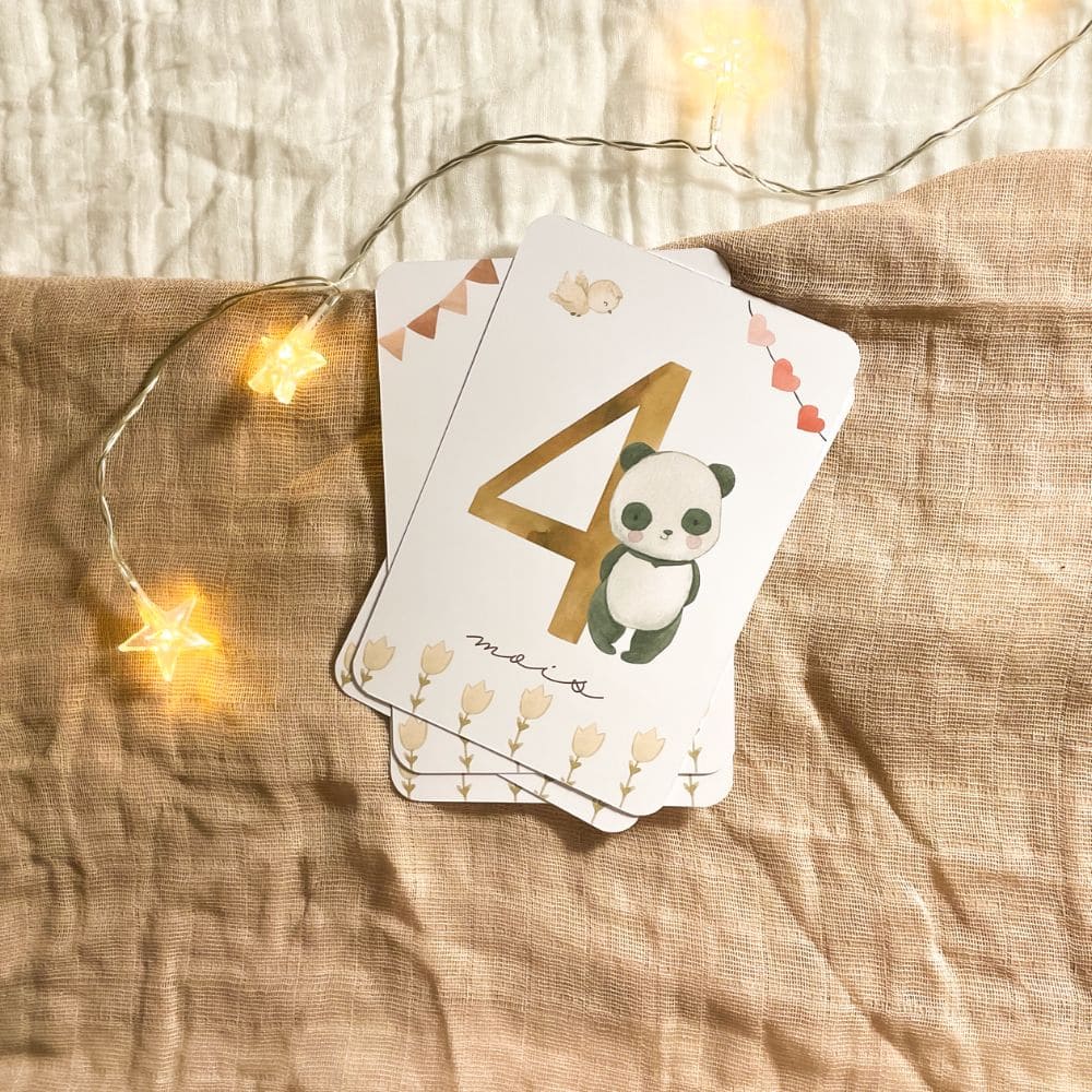 Baby milestone cards - First year - Panda and Koala