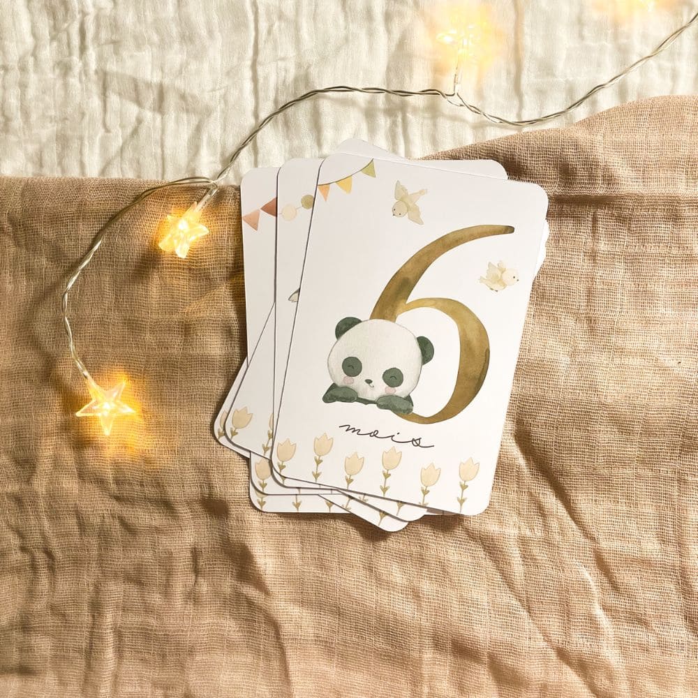 Baby milestone cards - First year - Panda and Koala