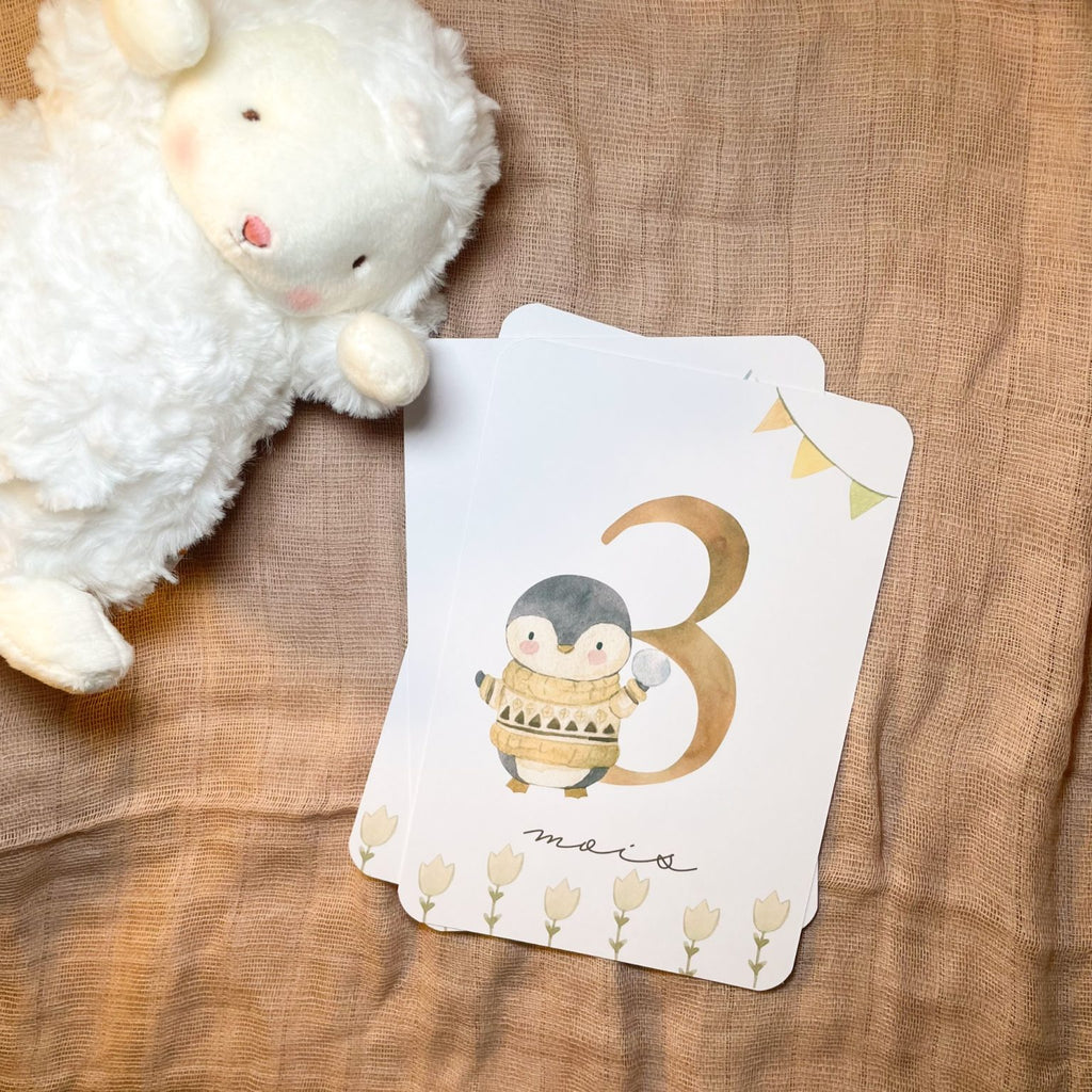 Baby Milestone Cards - First Year - Penguins