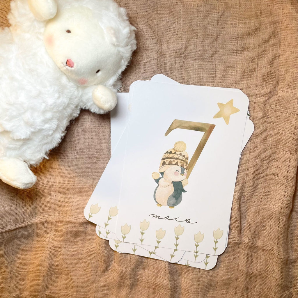 Baby Milestone Cards - First Year - Penguins
