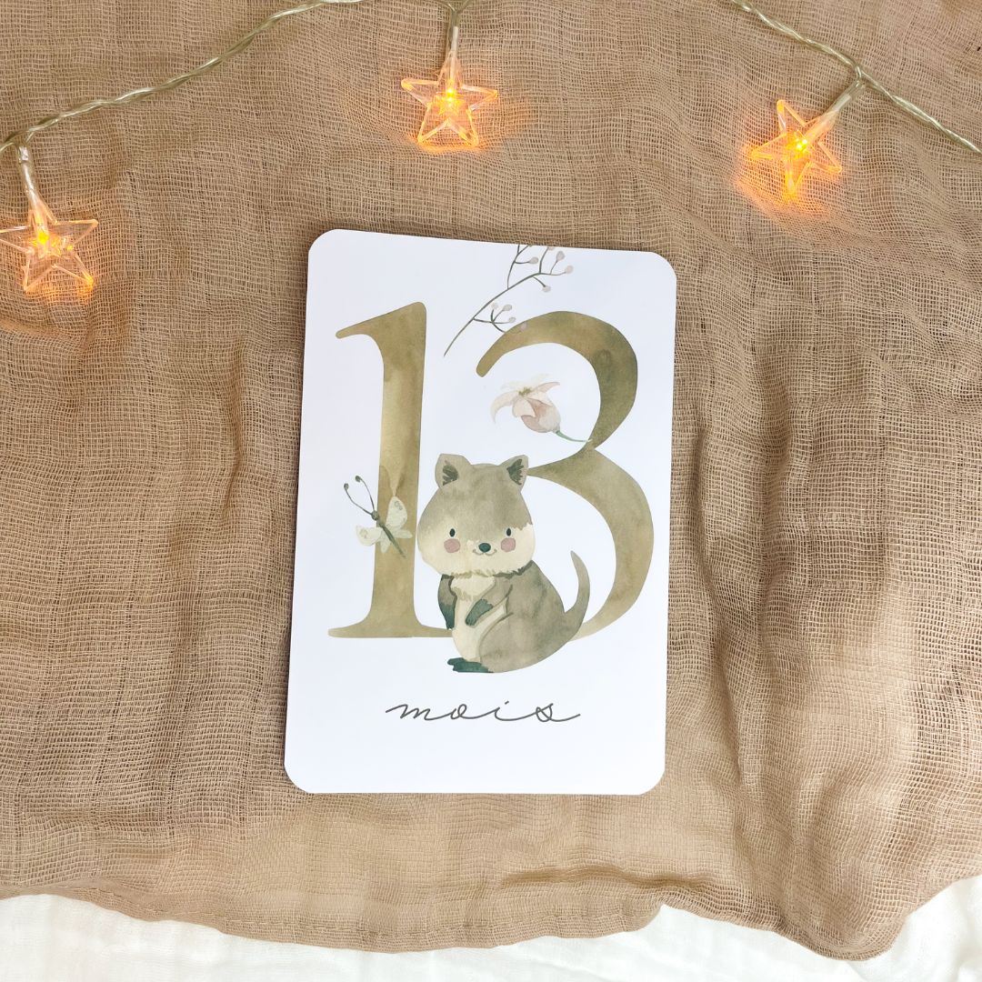 Baby Milestone Cards - Second Year - Australian Animals