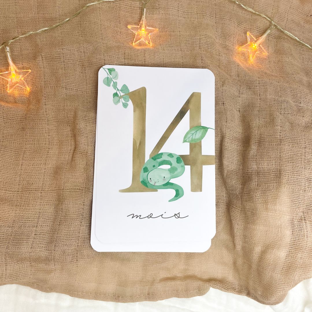 Baby Milestone Cards - Second Year - Australian Animals