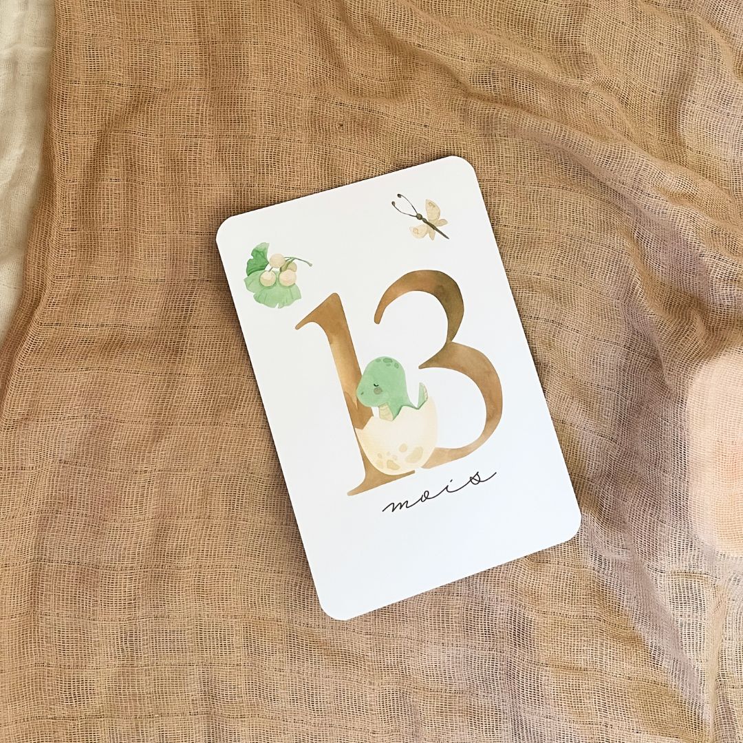 Baby Milestone Cards - Second Year - Dinosaur