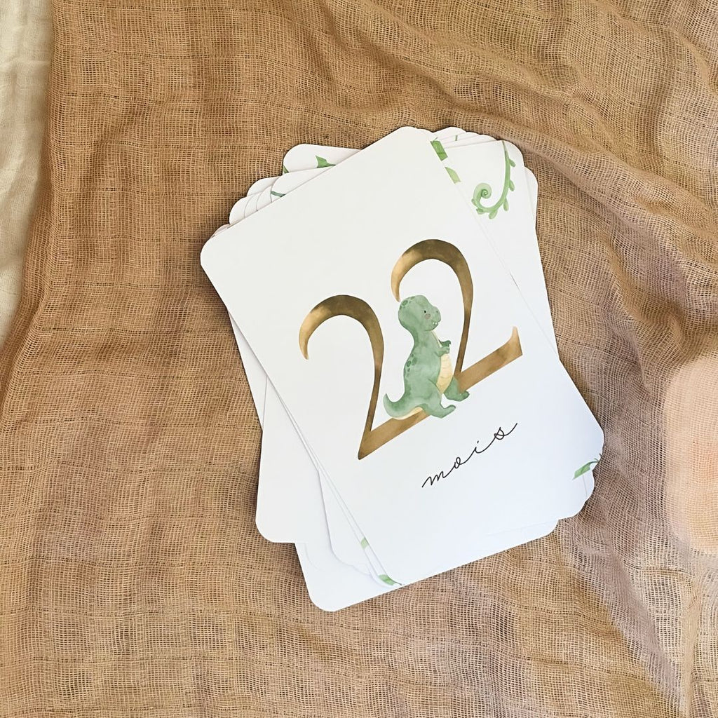 Baby Milestone Cards - Second Year - Dinosaur