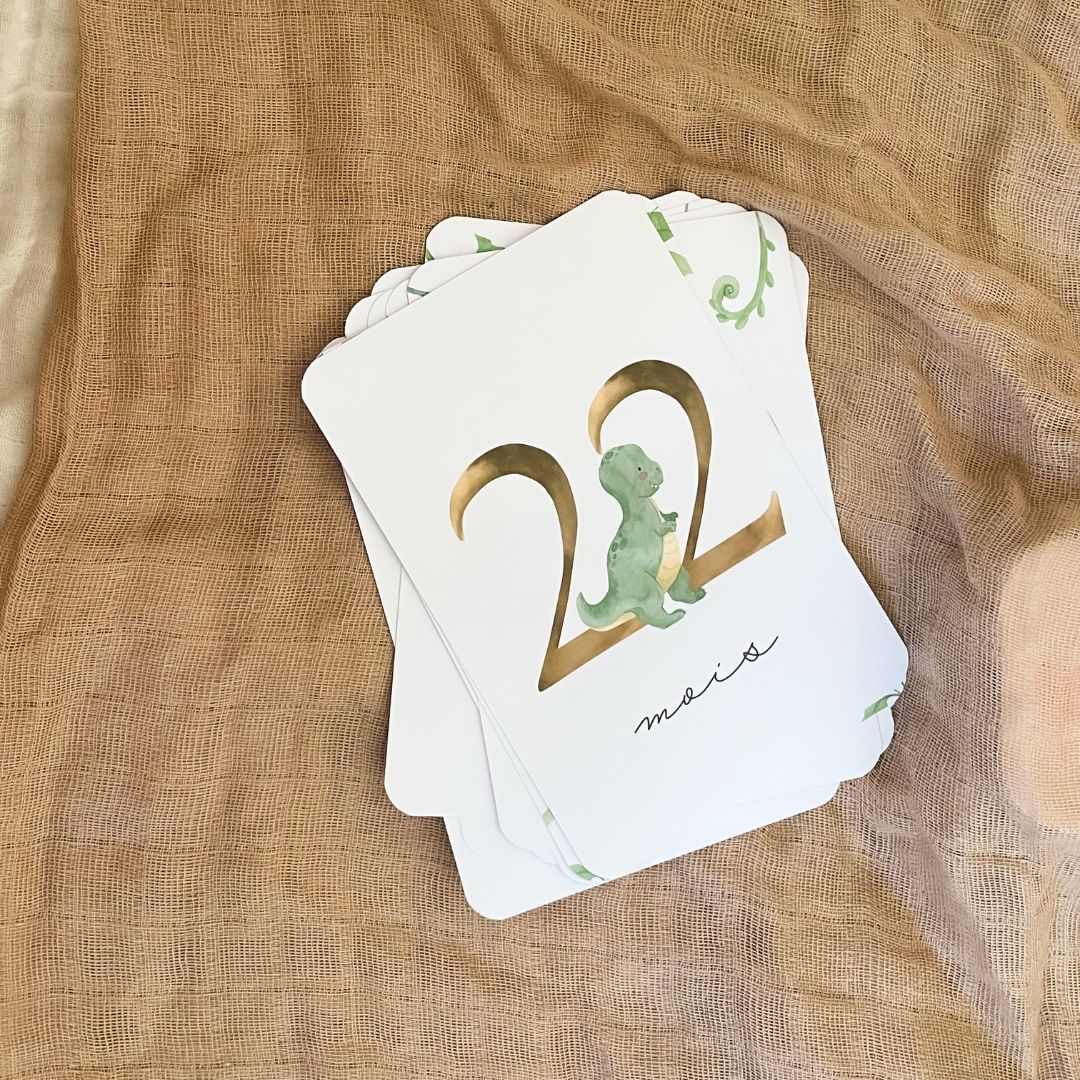 Baby Milestone Cards - Second Year - Dinosaur