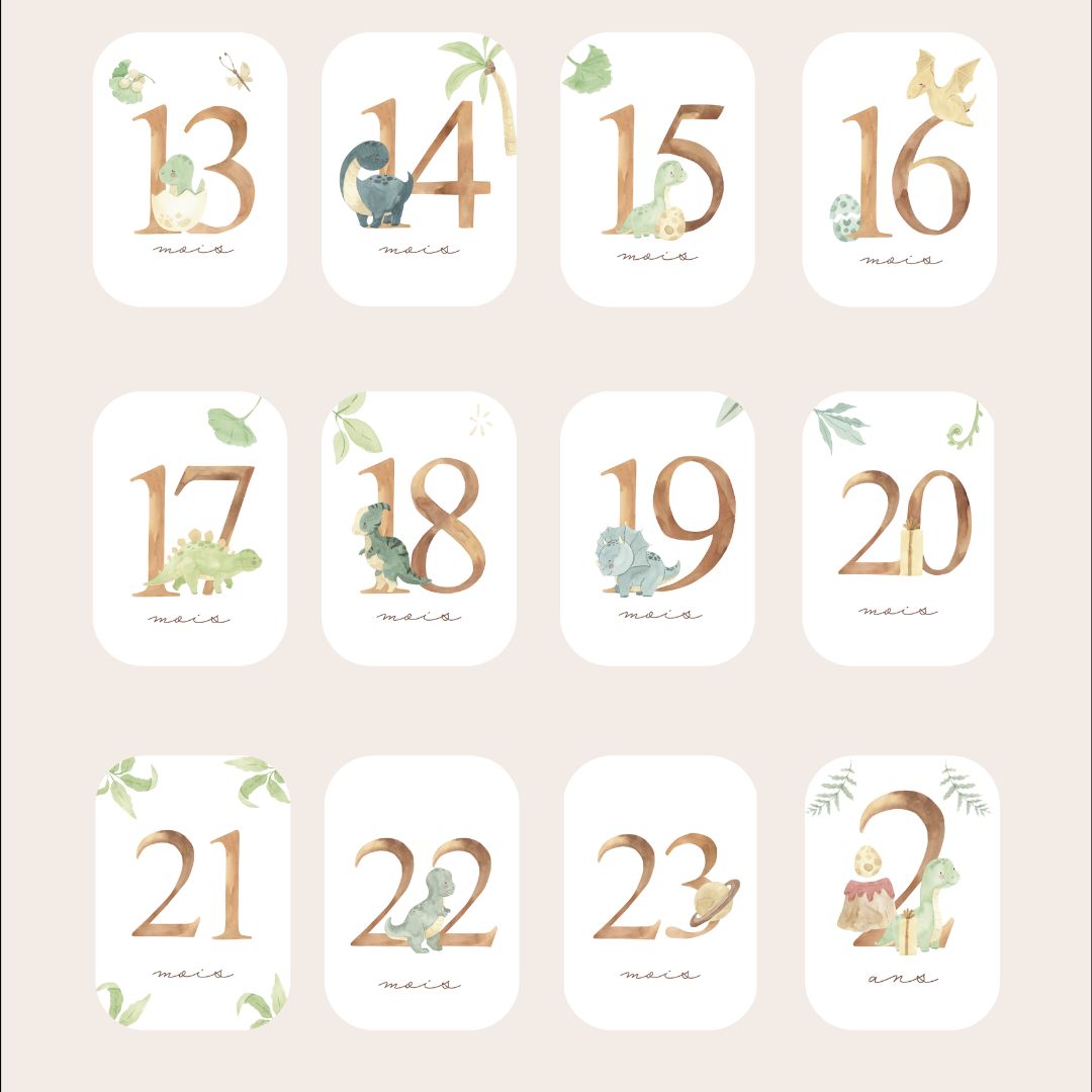 Baby Milestone Cards - Second Year - Dinosaur
