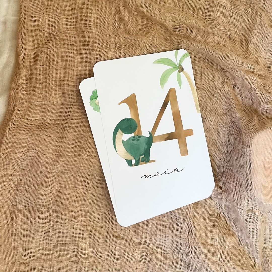 Baby Milestone Cards - Second Year - Dinosaur