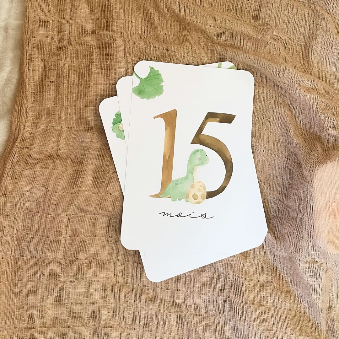 Baby Milestone Cards - Second Year - Dinosaur