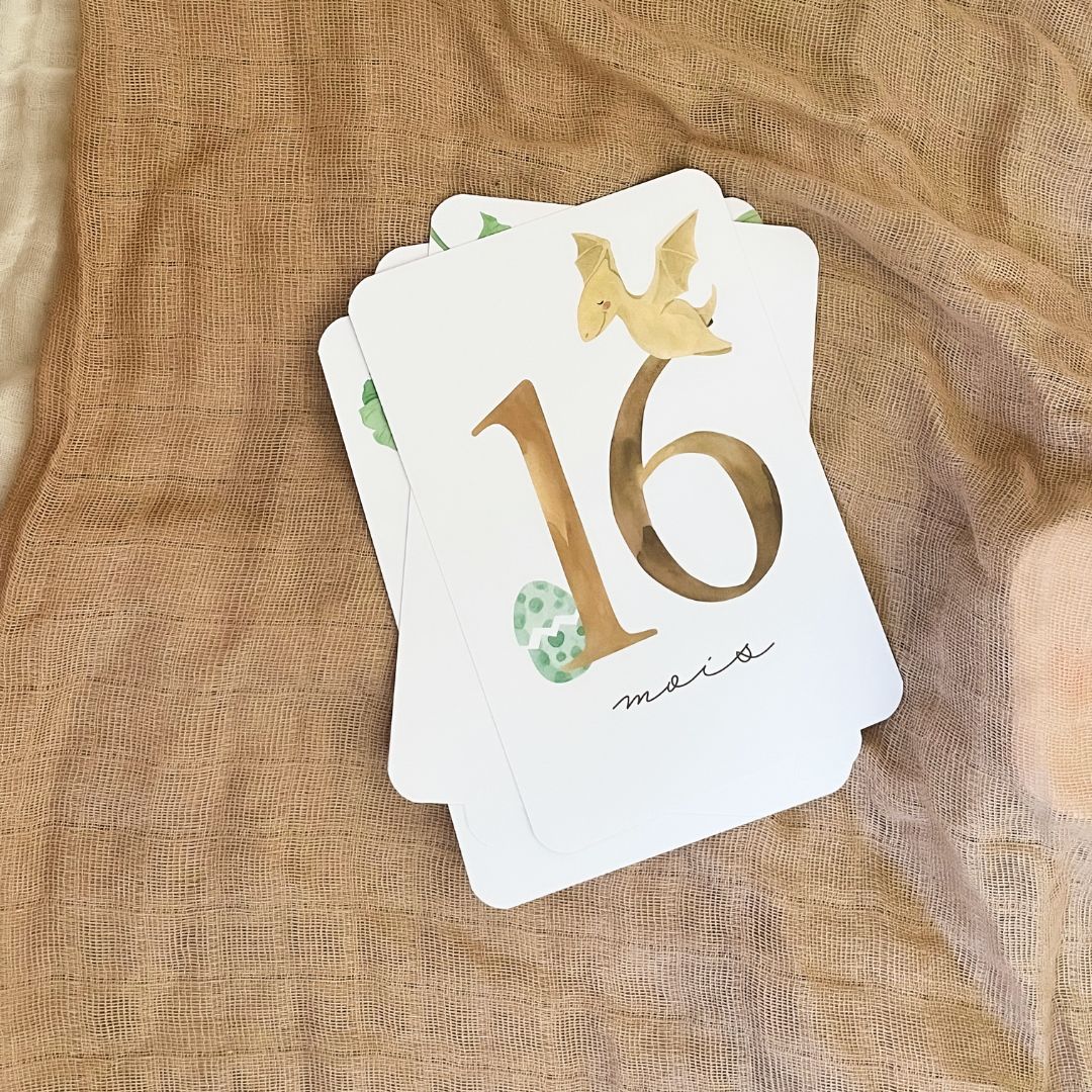 Baby Milestone Cards - Second Year - Dinosaur
