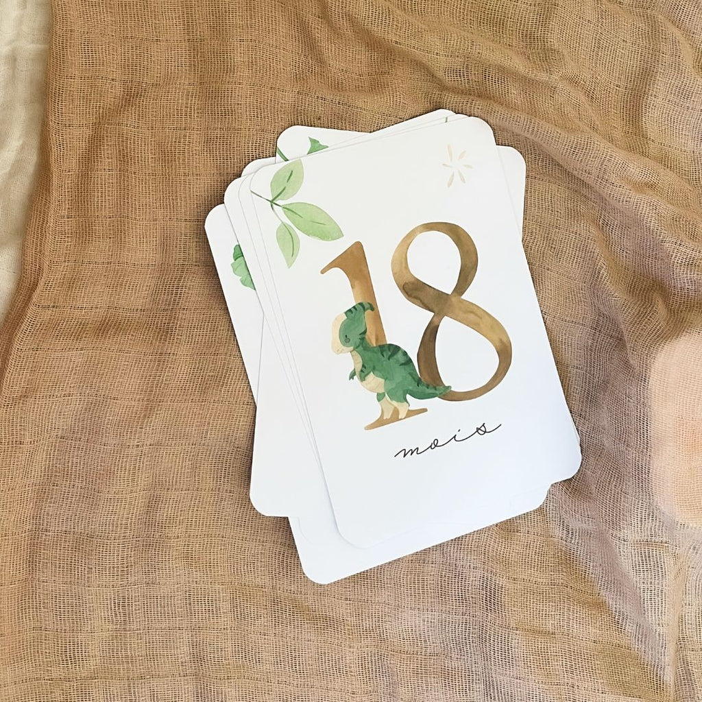 Baby Milestone Cards - Second Year - Dinosaur