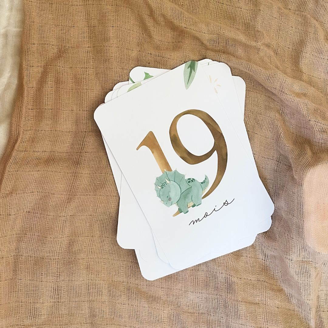 Baby Milestone Cards - Second Year - Dinosaur