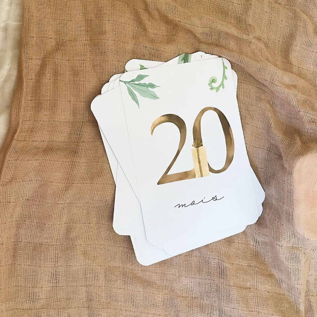 Baby Milestone Cards - Second Year - Dinosaur