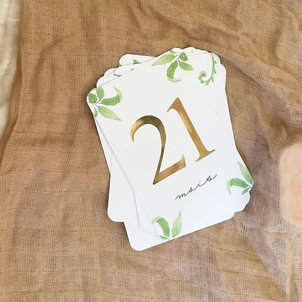 Baby Milestone Cards - Second Year - Dinosaur