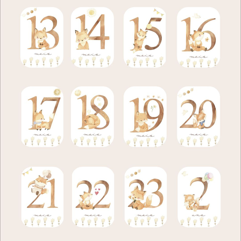 Baby Milestone Cards - Second Year - Fox