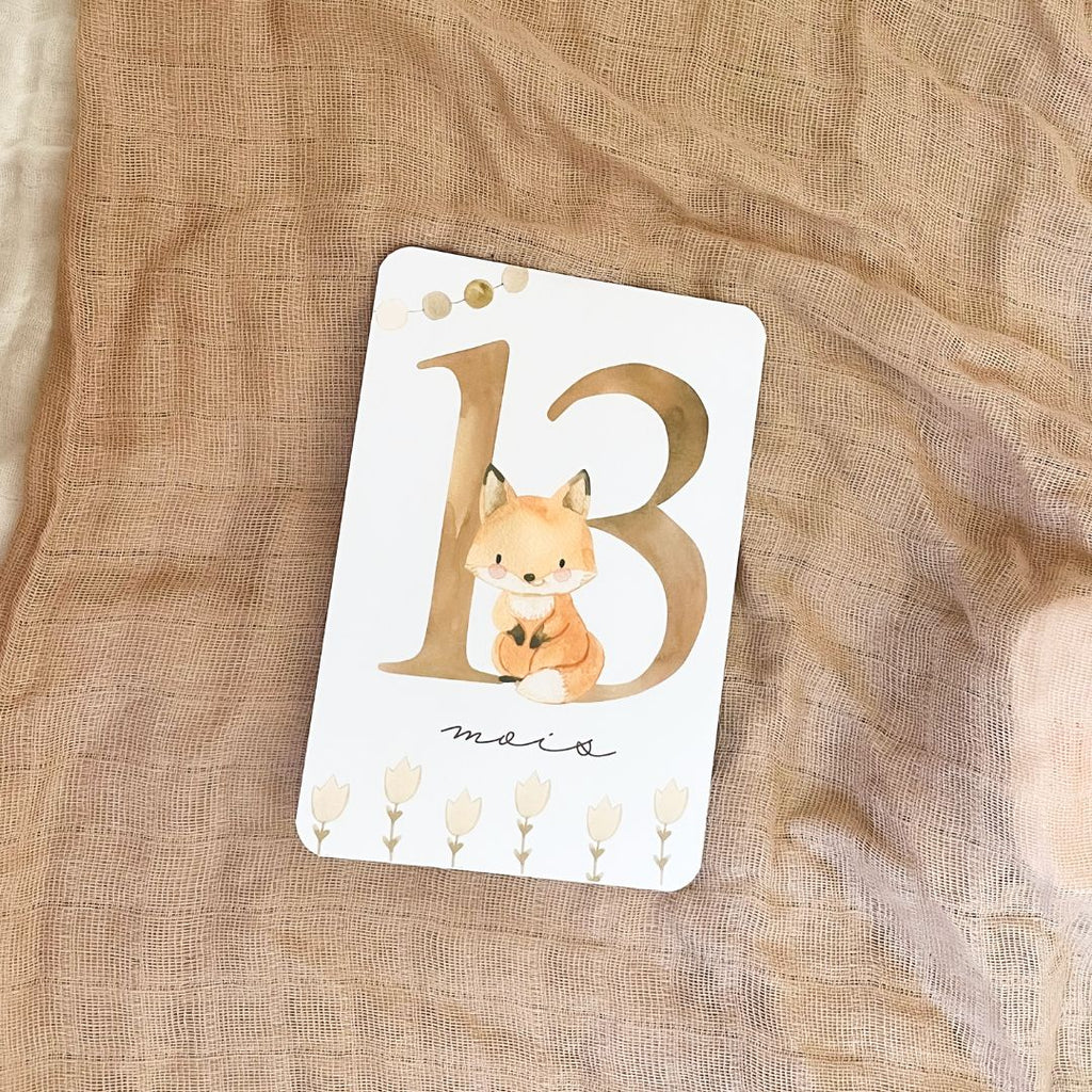 Baby Milestone Cards - Second Year - Fox