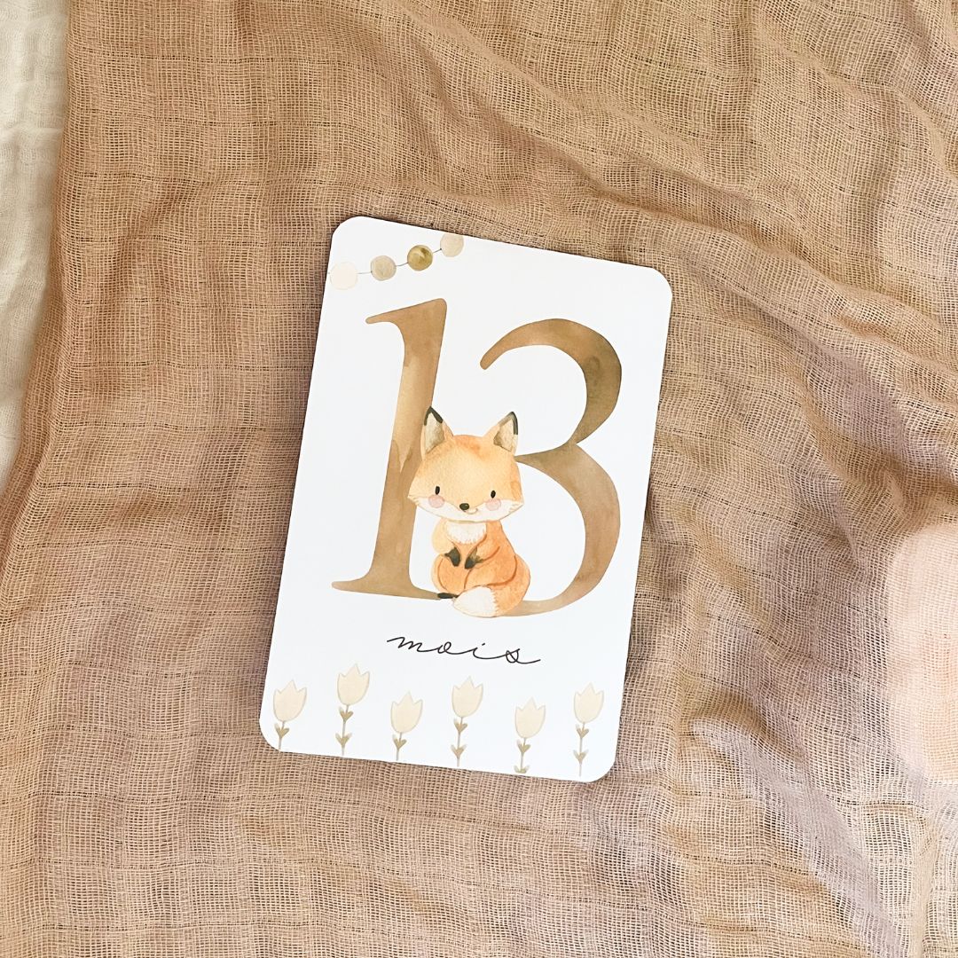 Baby Milestone Cards - Second Year - Fox