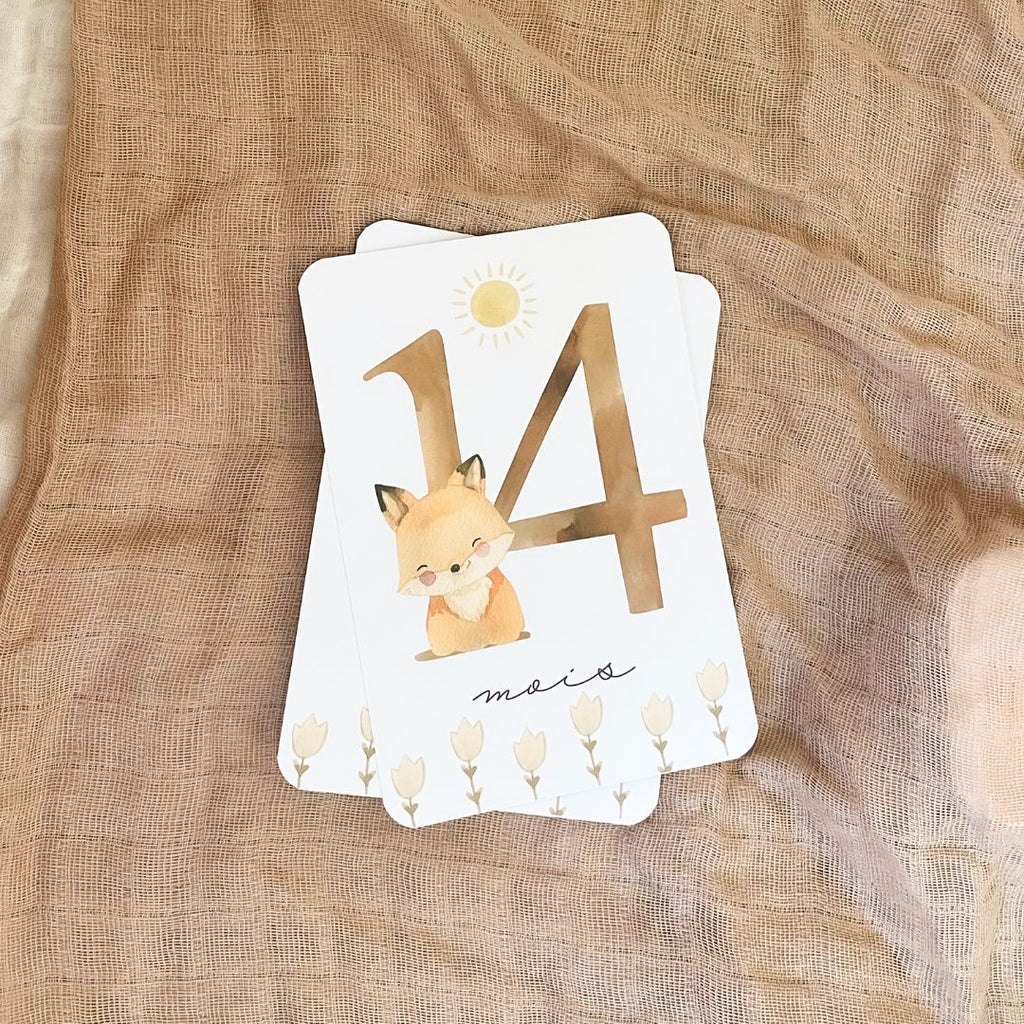 Baby Milestone Cards - Second Year - Fox