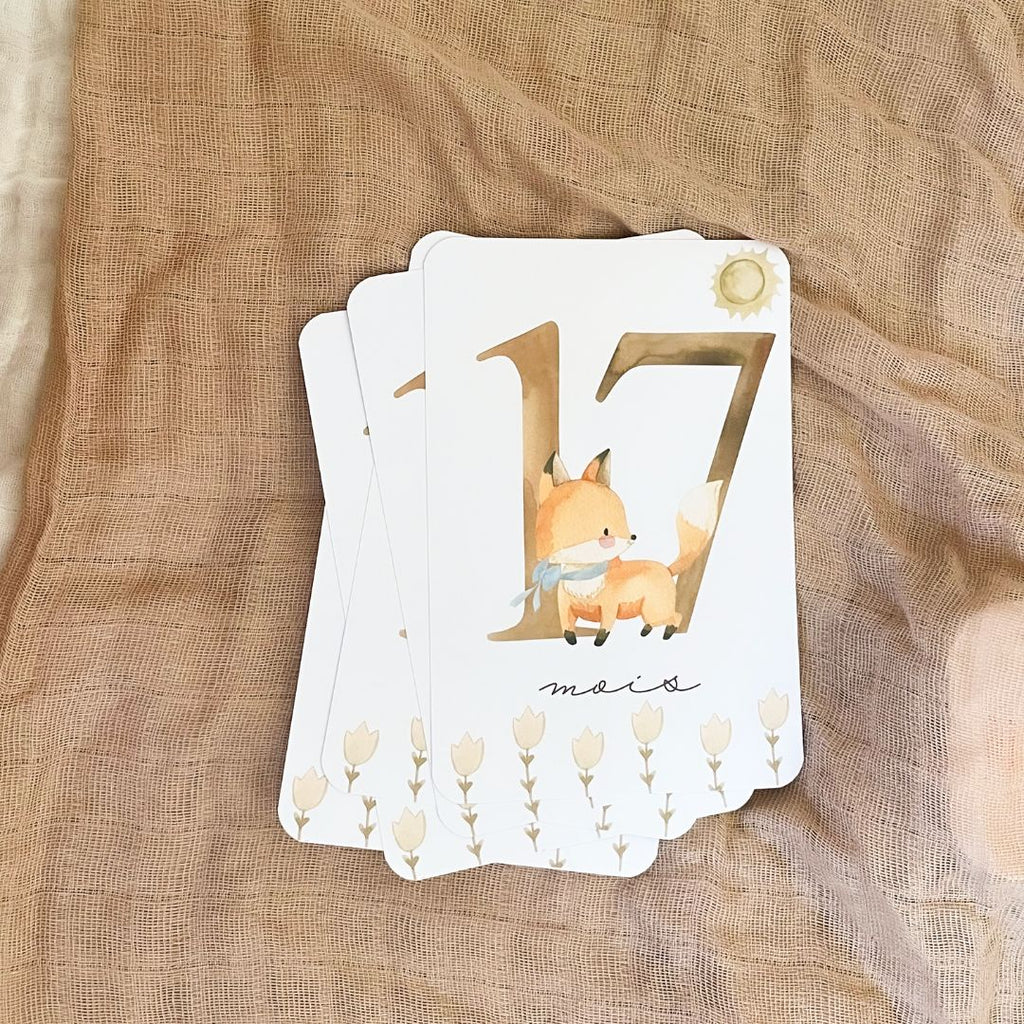 Baby Milestone Cards - Second Year - Fox
