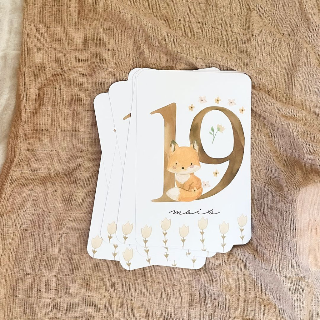 Baby Milestone Cards - Second Year - Fox
