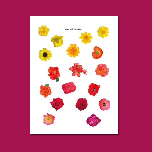 Planche de stickers - fleurs rouges