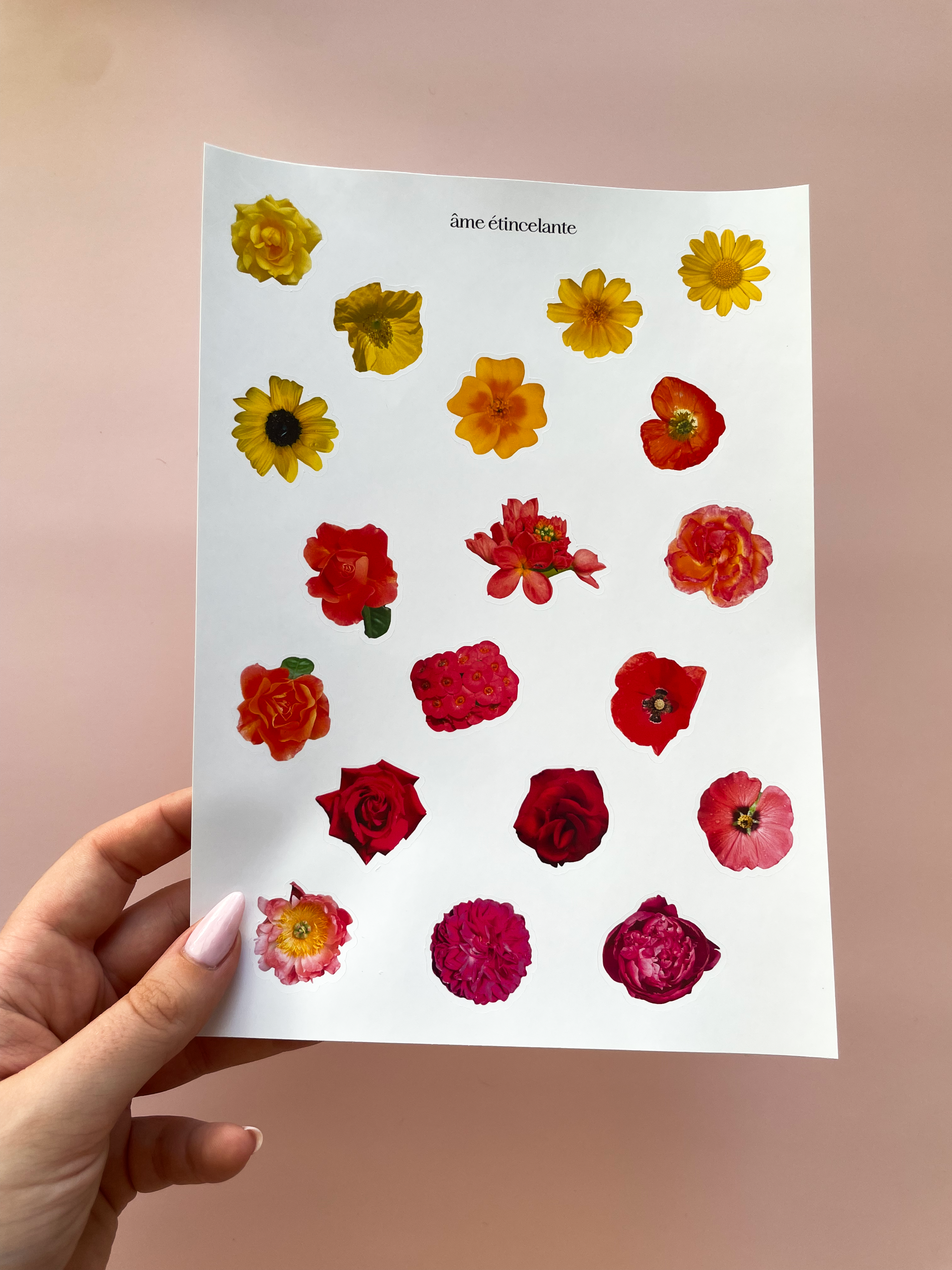 Planche de stickers - fleurs rouges