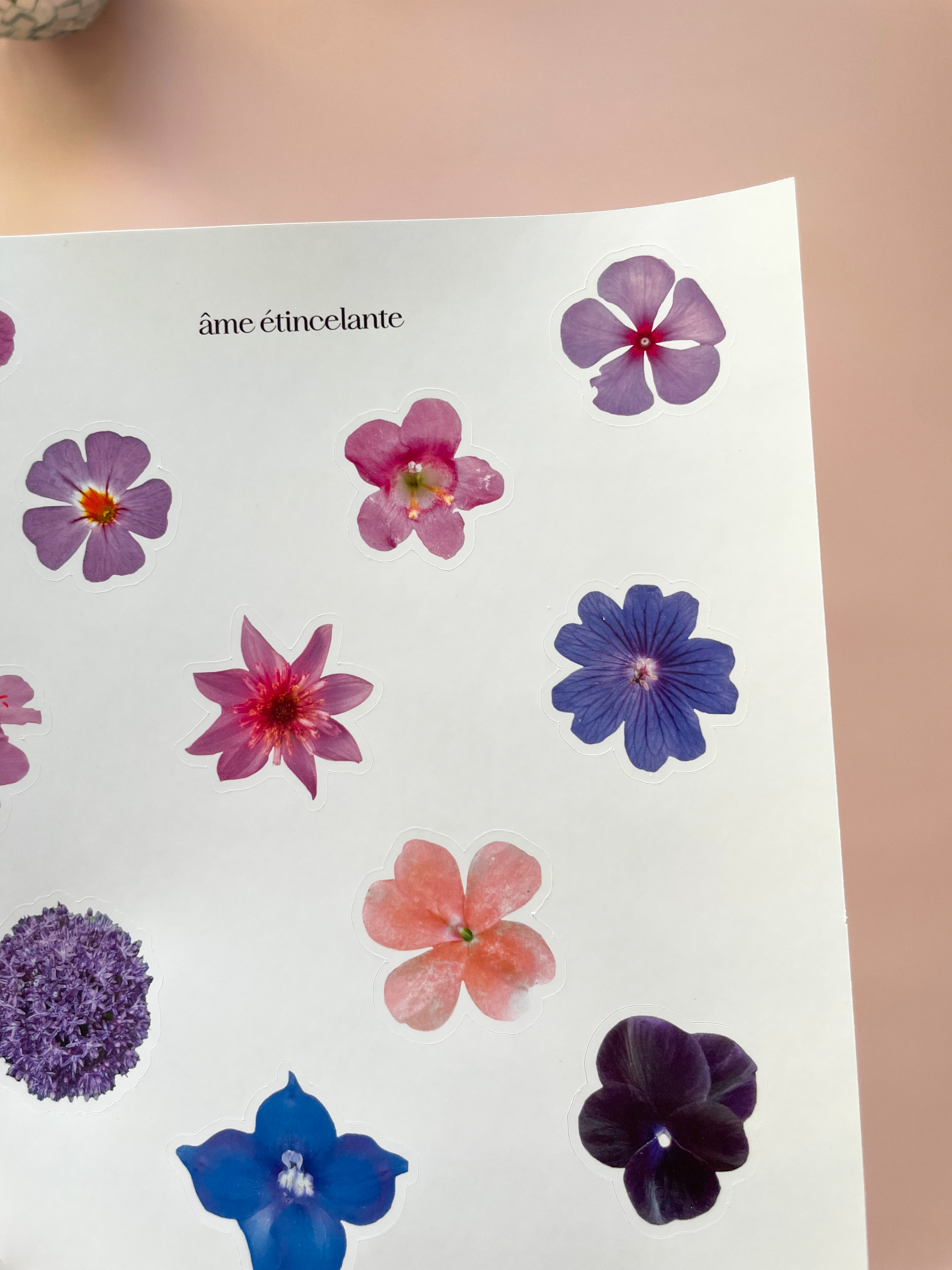 Planche de stickers - fleurs violettes