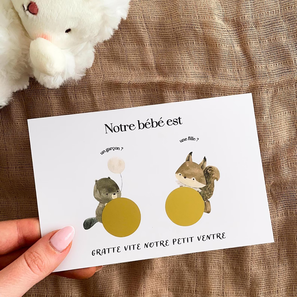 Gender reveal card - Castor