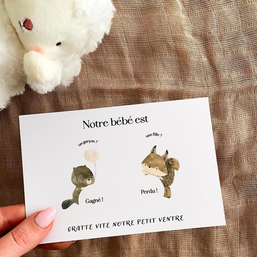 Gender reveal card - Castor