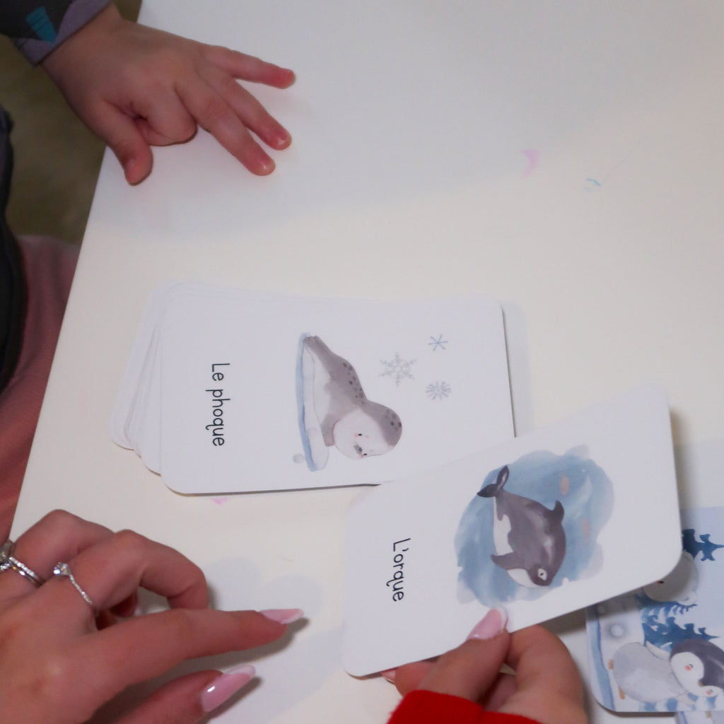 Learning game 3 years old - North Pole animals