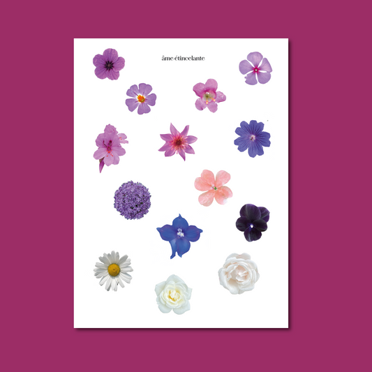 Planche de stickers - fleurs violettes