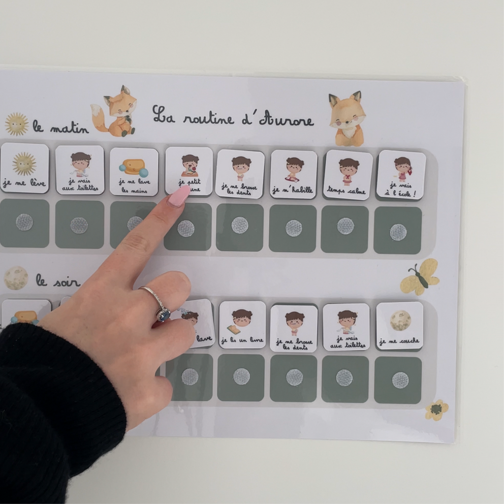 Children's daily routine - Fox