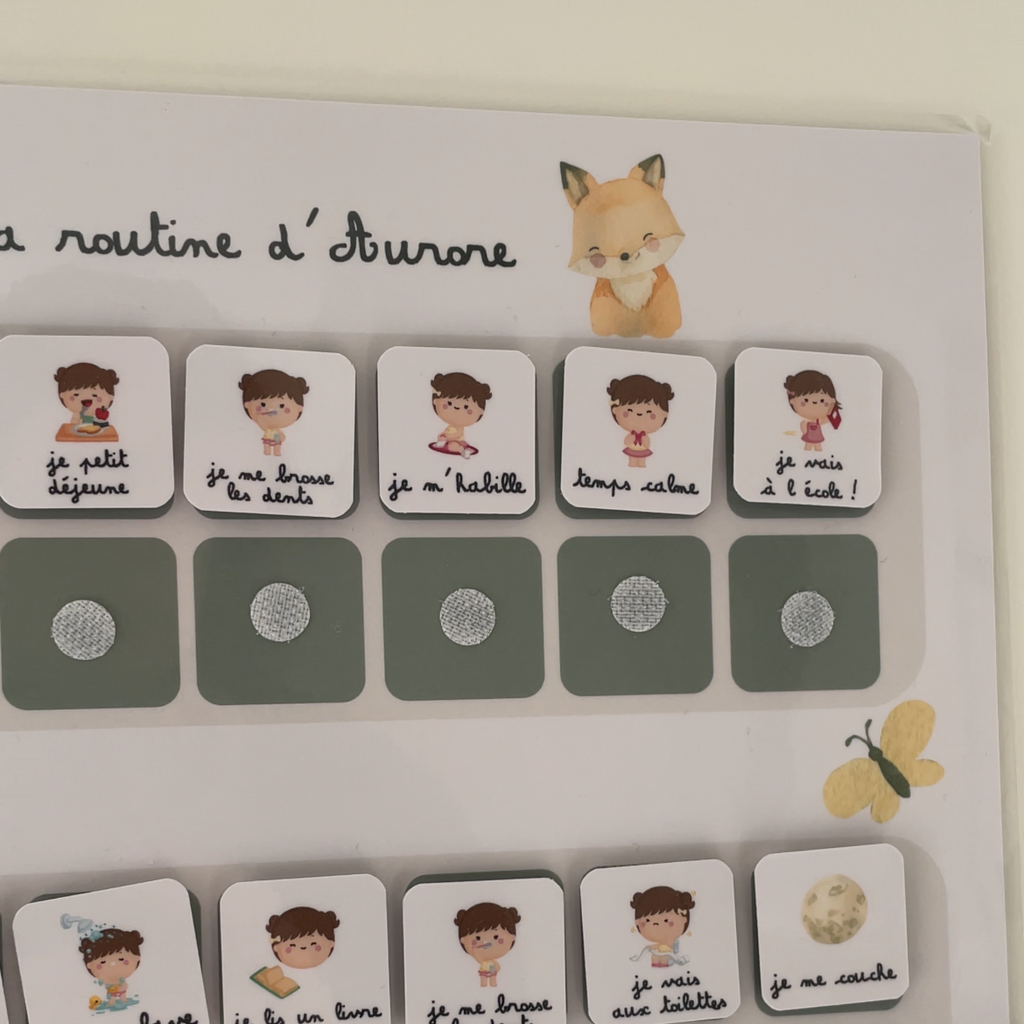 Children's daily routine - Fox