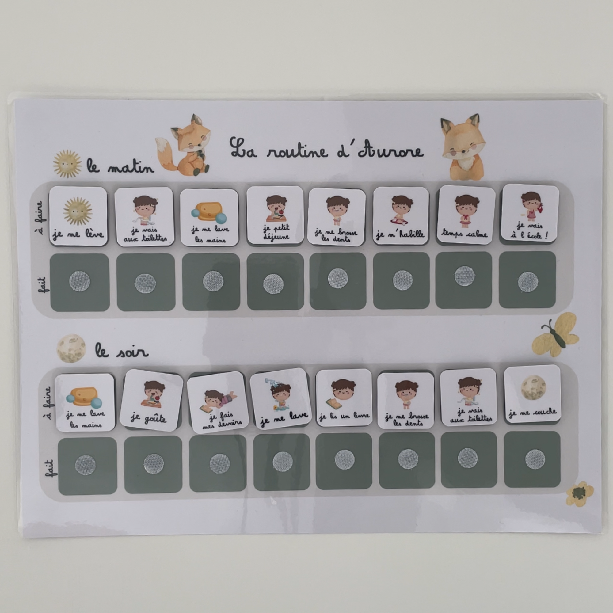 Children's daily routine - Fox